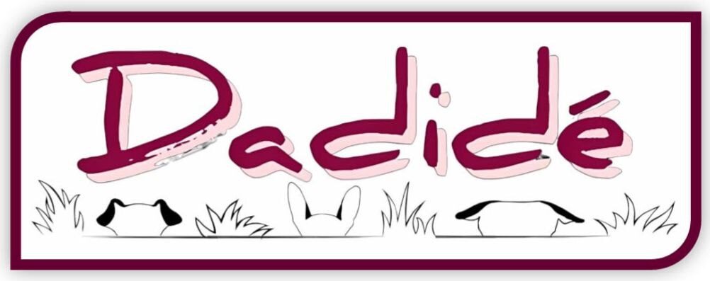 Dadidé Hondenspeeltuin in Heerde